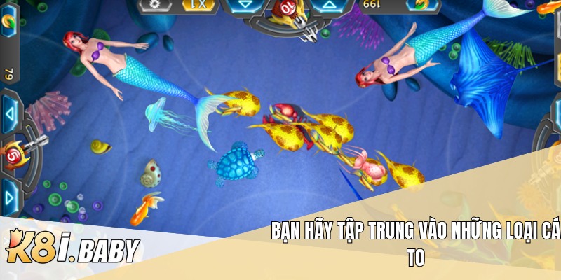 Bạn hãy tập trung vào những loại cá to