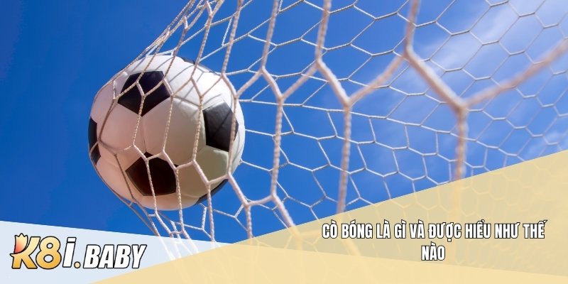 Cò bóng là gì và được hiểu như thế nào