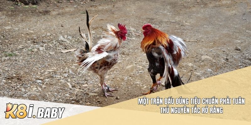 Một trận đấu đúng tiêu chuẩn phải tuân thủ nguyên tắc rõ ràng