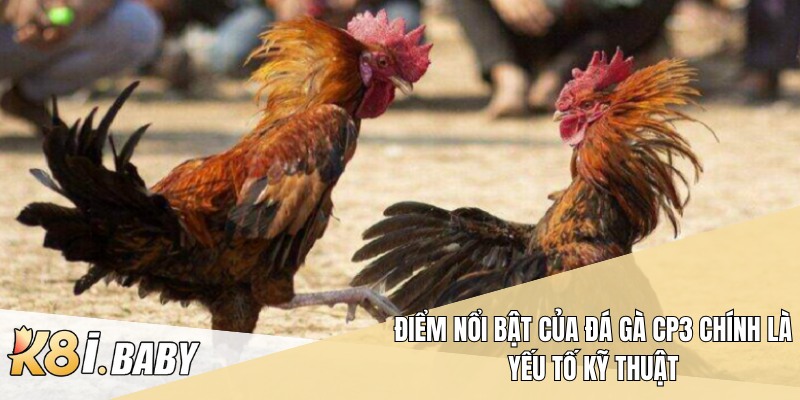 Điểm nổi bật của Đá gà CP3 chính là yếu tố kỹ thuật