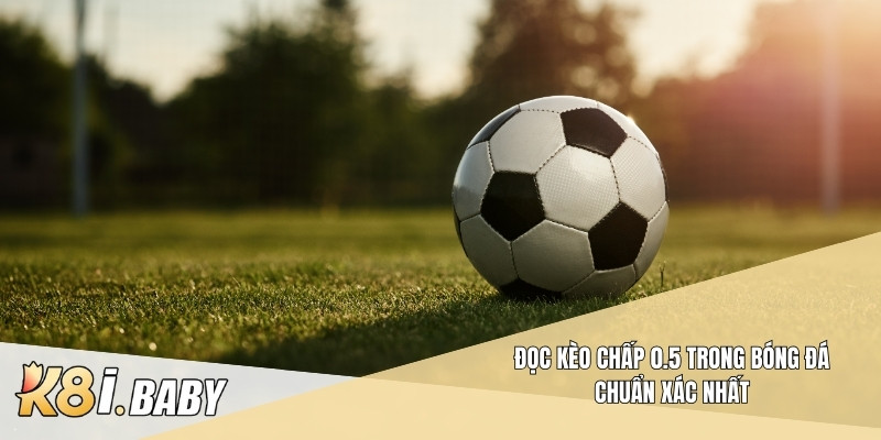 Đọc kèo chấp 0.5 trong bóng đá chuẩn xác nhất