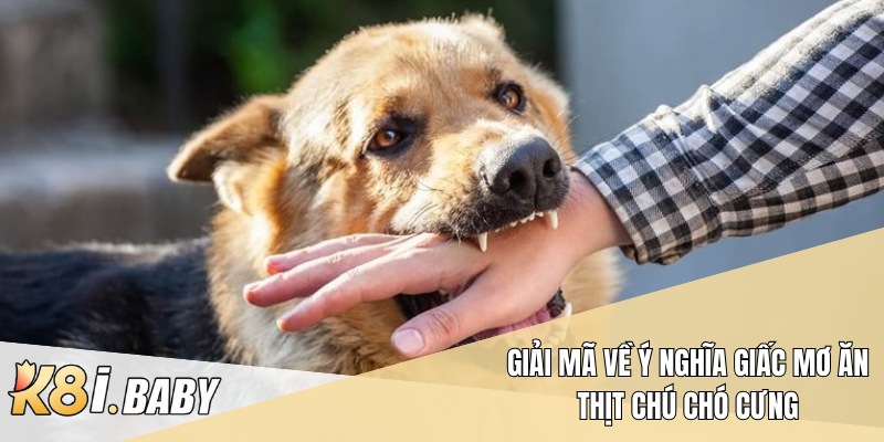 Giải mã về ý nghĩa giấc mơ ăn thịt chú chó cưng